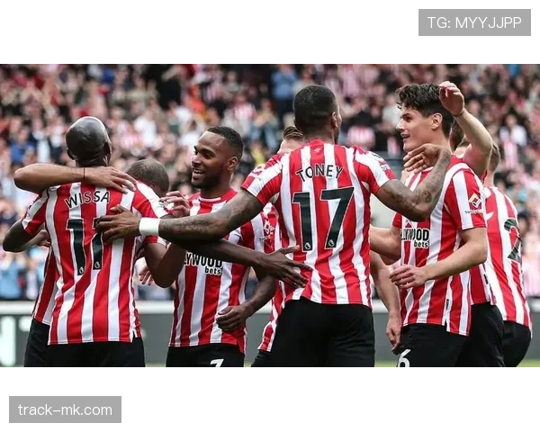 伯恩茅斯樱桃剑指重返英超，新赛季表现备受期待