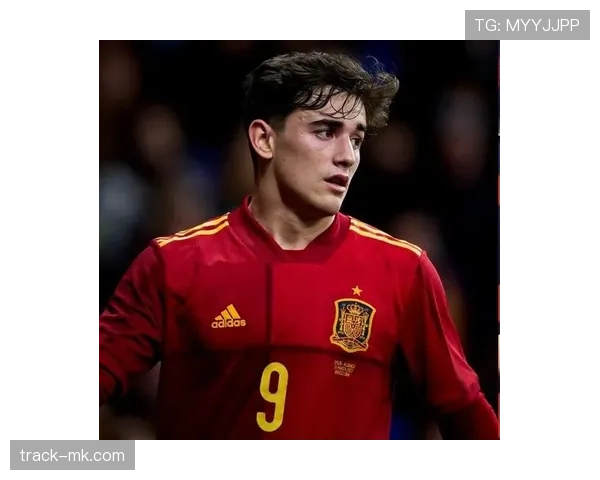 加维：从青年队到国家队的极速成长轨迹解析